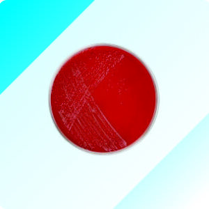 Microbiology-Culture Plates