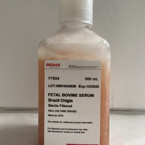 Fetal bovine serum